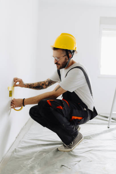 Best Drywall Removal and Disposal  in Delmar, MD